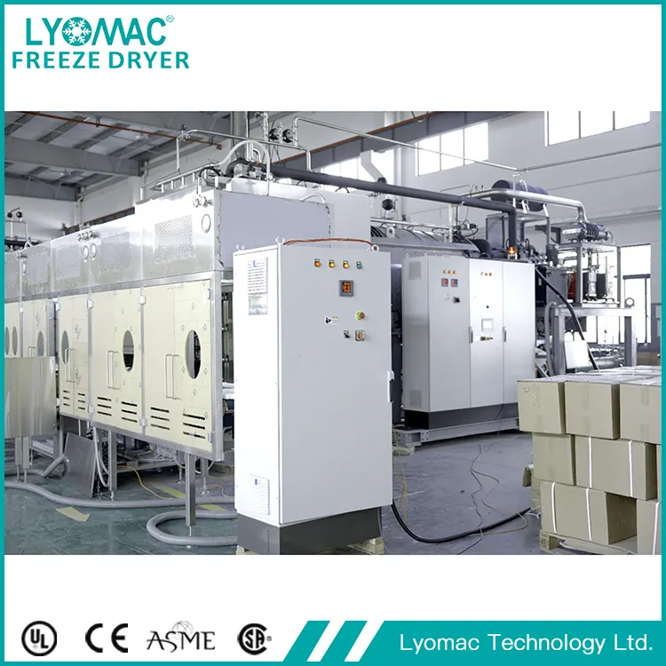 إعادة تعريف التخصيص: كيف يحل Lyomac تحديات إنتاج الأدوية الفريدة