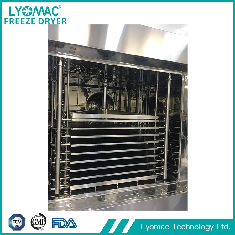 قوة SCADA: التحكم الرقمي لشركة Lyomac للإنتاج المتوافق والمعتمد على البيانات
