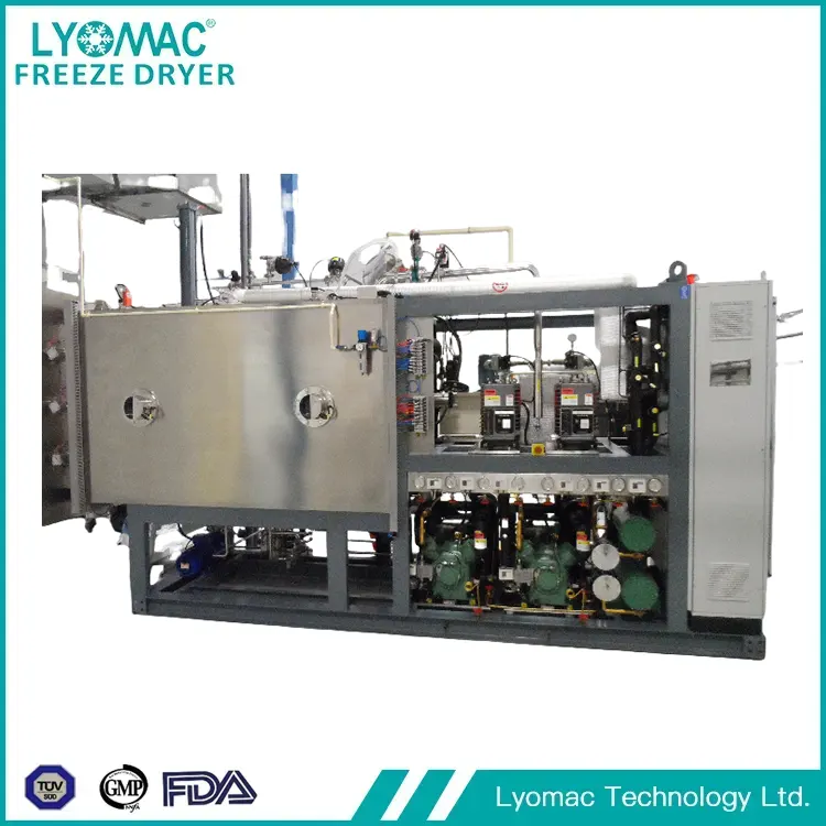 الطليعة العالمية للتجفيد: LYOMAC TECHNOLOGY LTD ومستقبل المعالجة المعقمة