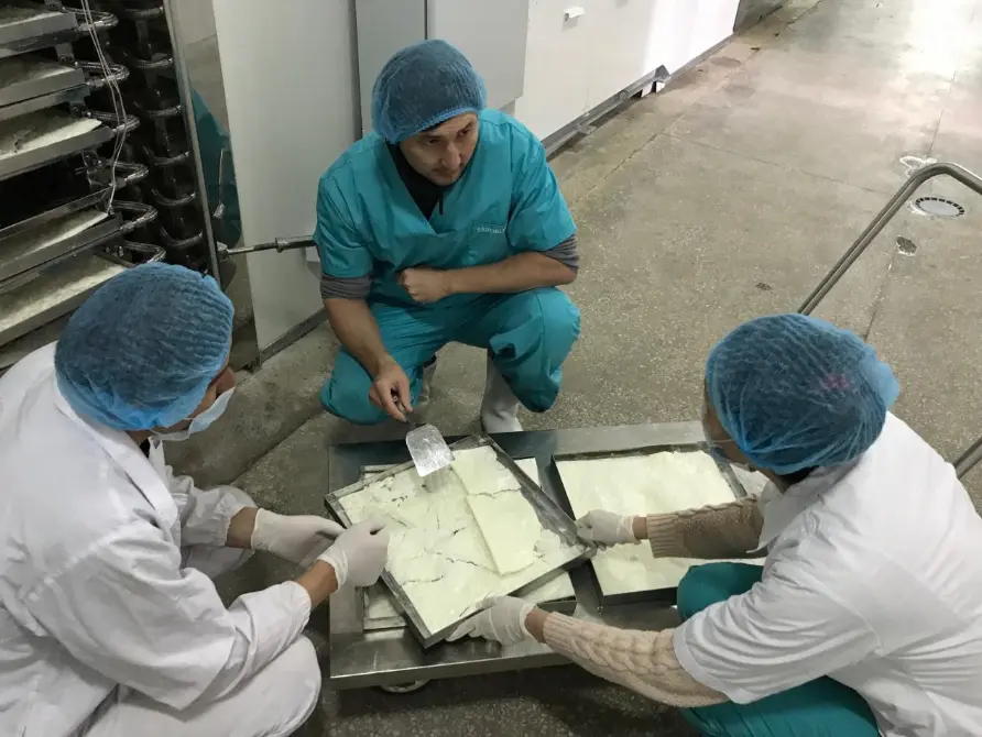 Freeze Dryer for Rabies Vaccine