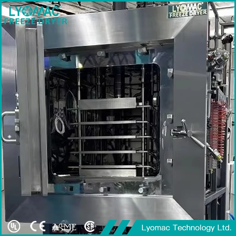مختبر مجفف بالتجميد للعينات